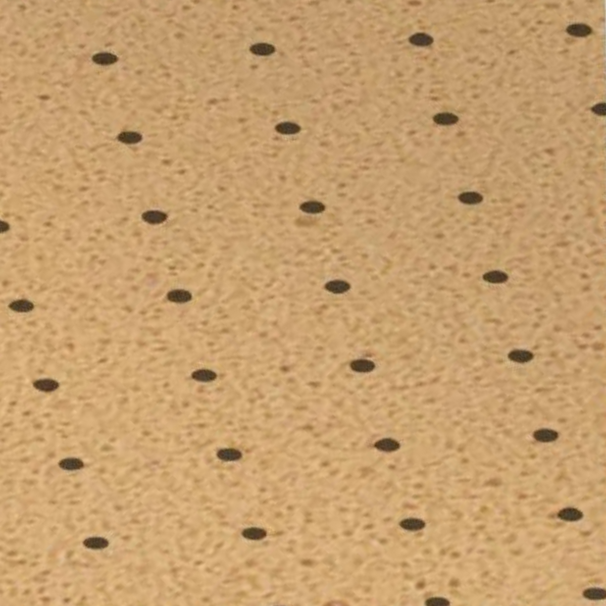My Rebolastic perforé - EVA - Shore 20 - Propulseur - 2 mm / 3 mm