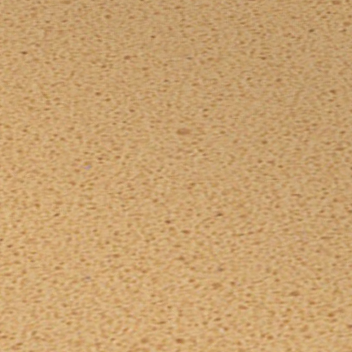 My Rebolastic - EVA - Shore 20 - Propulseur - 2 mm / 3 mm